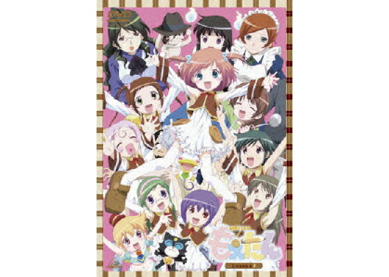 楽天ブックス もえたん Lesson 7 もえたん Dvd 楽天ブックス もえたん Lesson 7 もえたん Dvd